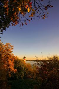 Scenic view of autumn trees against sky during sunset