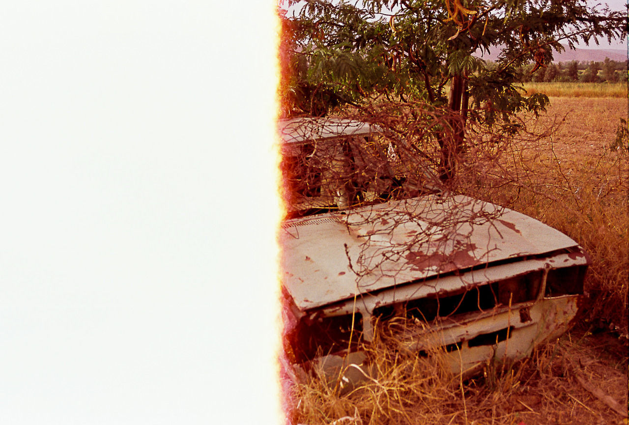 clear sky, tree, abandoned, field, grass, plant, tranquility, nature, growth, copy space, obsolete, no people, absence, landscape, day, outdoors, tranquil scene, wood - material, damaged, chair