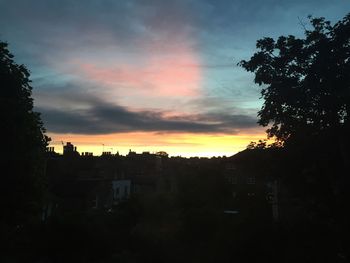 Silhouette of trees at sunset