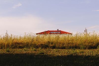 House on field against sky