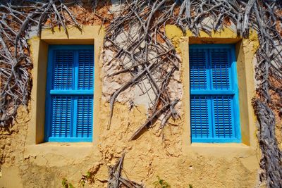 Low angle view of windows