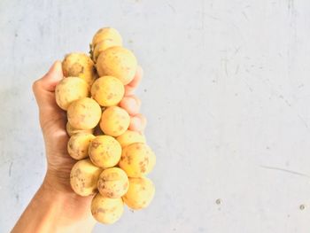 High angle view of hand holding fruits