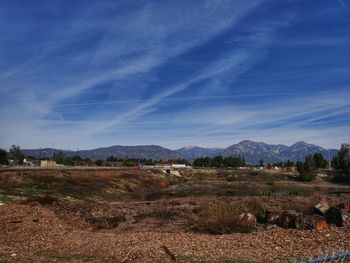 Scenic view of field against blue sky