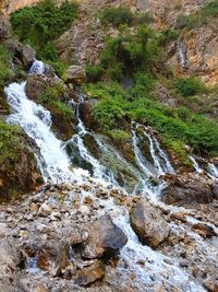 Scenic view of waterfall in forest