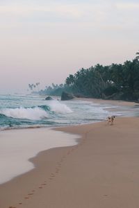 Scenic view of beach against sky during sunset