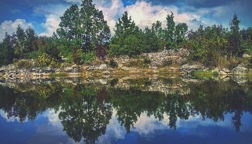 Reflection of trees in lake