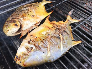 High angle view of fish on barbecue grill