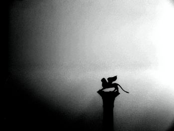 Low angle view of statue