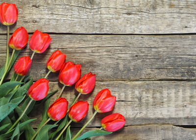 High angle view of red roses on table