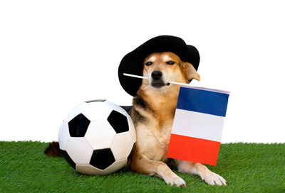 soccer