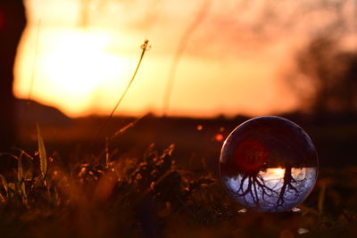 Close-up of ball on field against sky during sunset