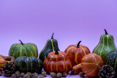 Close-up of pumpkins against clear sky