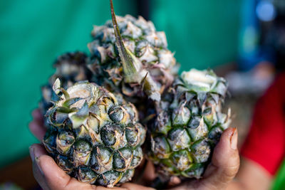 Close-up of hand holding pineapples