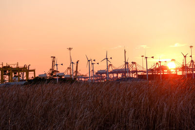 Cranes on field against sky during sunset