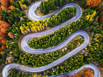 High angle view of road amidst trees