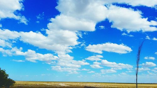 Scenic view of landscape against cloudy sky