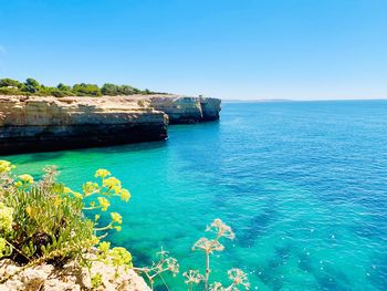 Scenic view of bay against clear blue sky