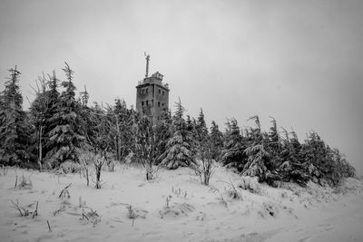 Trees on snow covered landscape against sky
