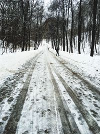 Tire tracks on snow covered landscape