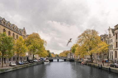 Bridge over river amidst buildings in city against sky