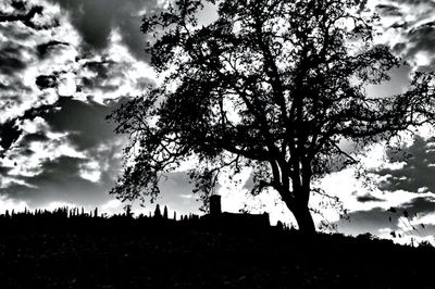 Silhouette trees against sky