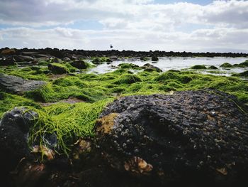 Close-up of sea against sky