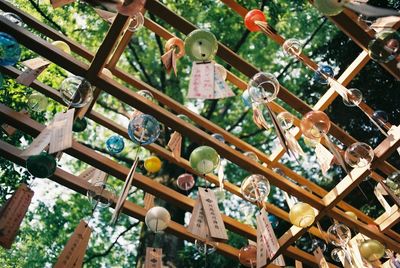 Low angle view of decorations hanging on wood outdoors