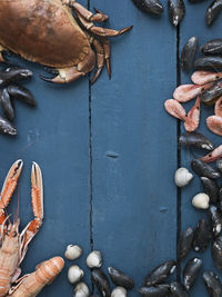 Seafood against blue wooden background