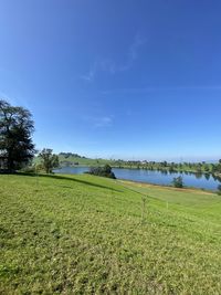 Scenic view of field against blue sky