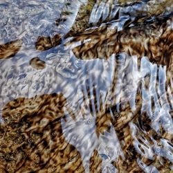 High angle view of frozen water