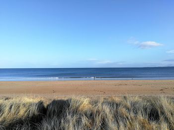 Walking the dog on dornoch beach