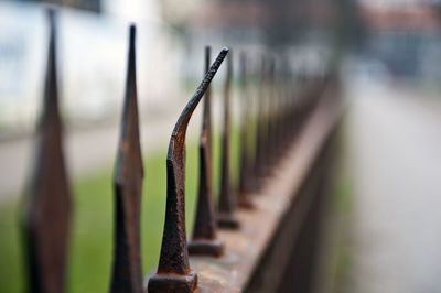 Close-up of metallic fence