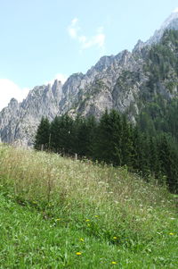 Scenic view of landscape and mountains against sky