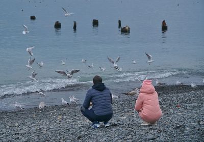 Rear view of people crouching on shore while birds flying over sea