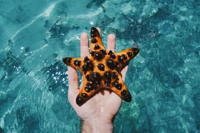 Close-up of hand holding starfish against sea