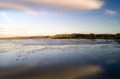 Scenic view of beach during sunset