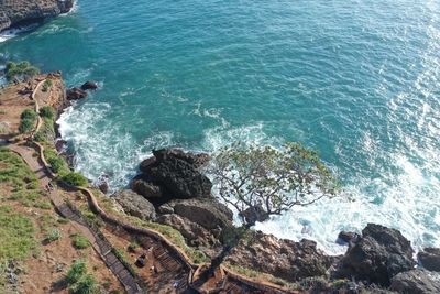 Aerial view of tree in kesirat beach gunung kidul