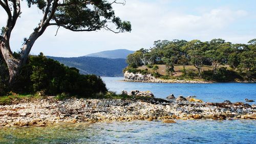 Scenic view of lake against sky