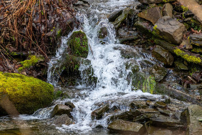 Scenic view of waterfall in forest