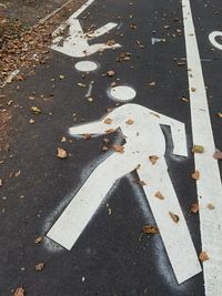 High angle view of autumn leaves on road