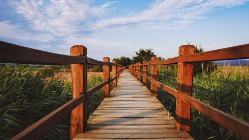 Wooden footpath, natural tones, blue sky.