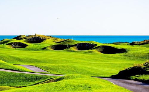 Scenic view of landscape against blue sky