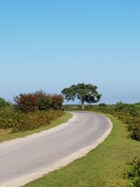 Road amidst trees against clear blue sky