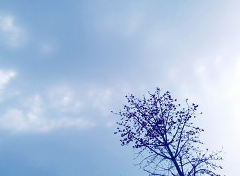 Low angle view of bare tree against blue sky