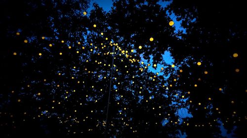 Low angle view of trees against sky at night