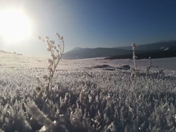 Panoramic shot of land on field against sky