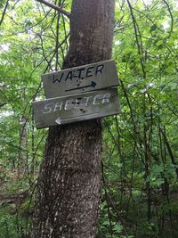 Low angle view of sign on tree trunk in forest
