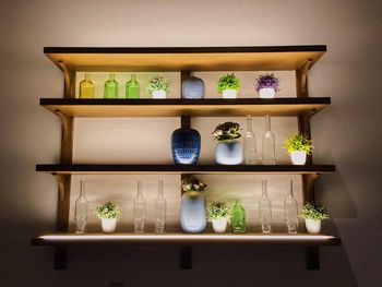 Potted plants on shelf against wall at home