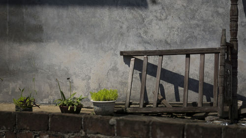 Potted plants in old building
