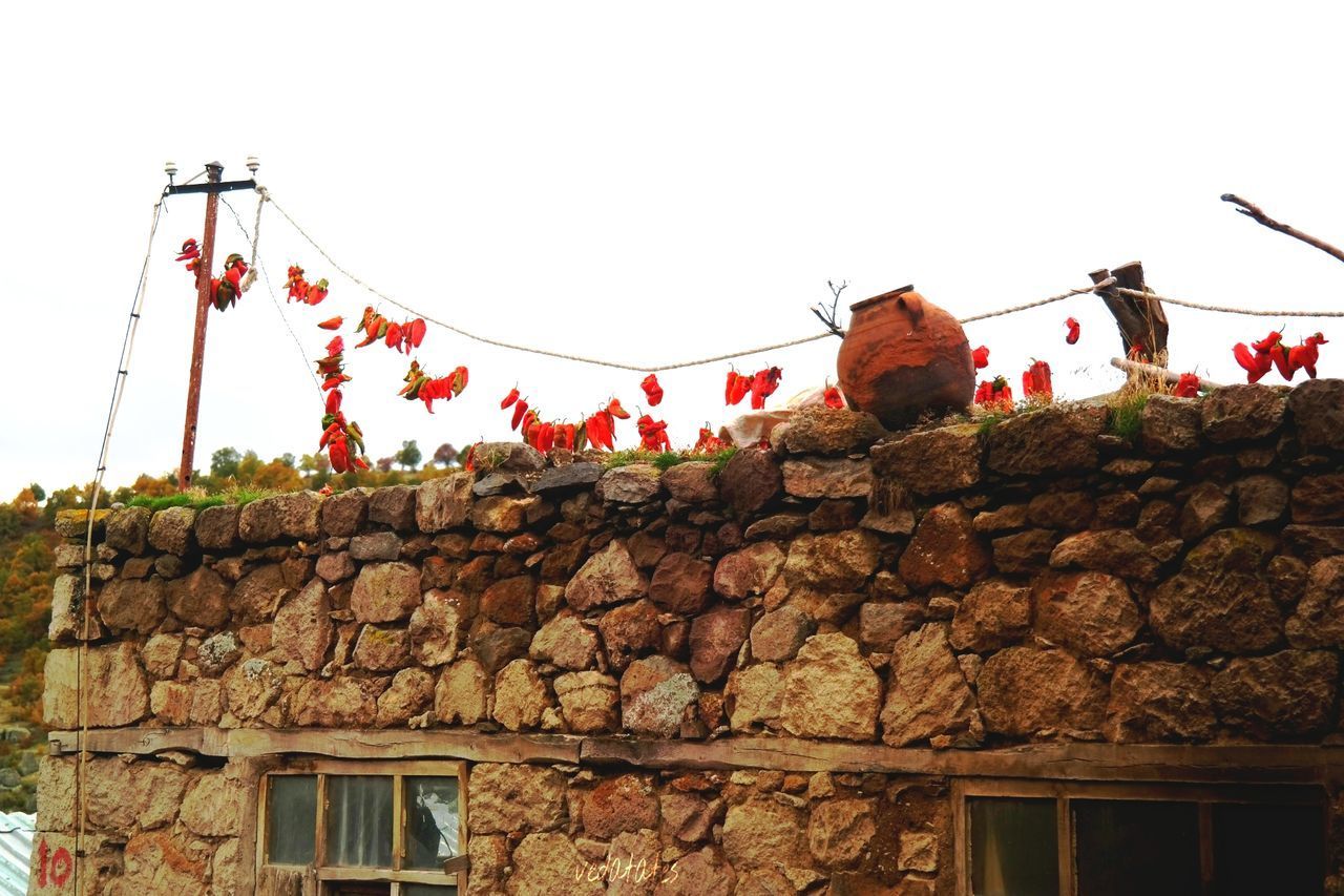 LOW ANGLE VIEW OF BIRDS HANGING AGAINST CLEAR SKY